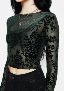 Avalon Floral Flocked Velour Boat Neck Top