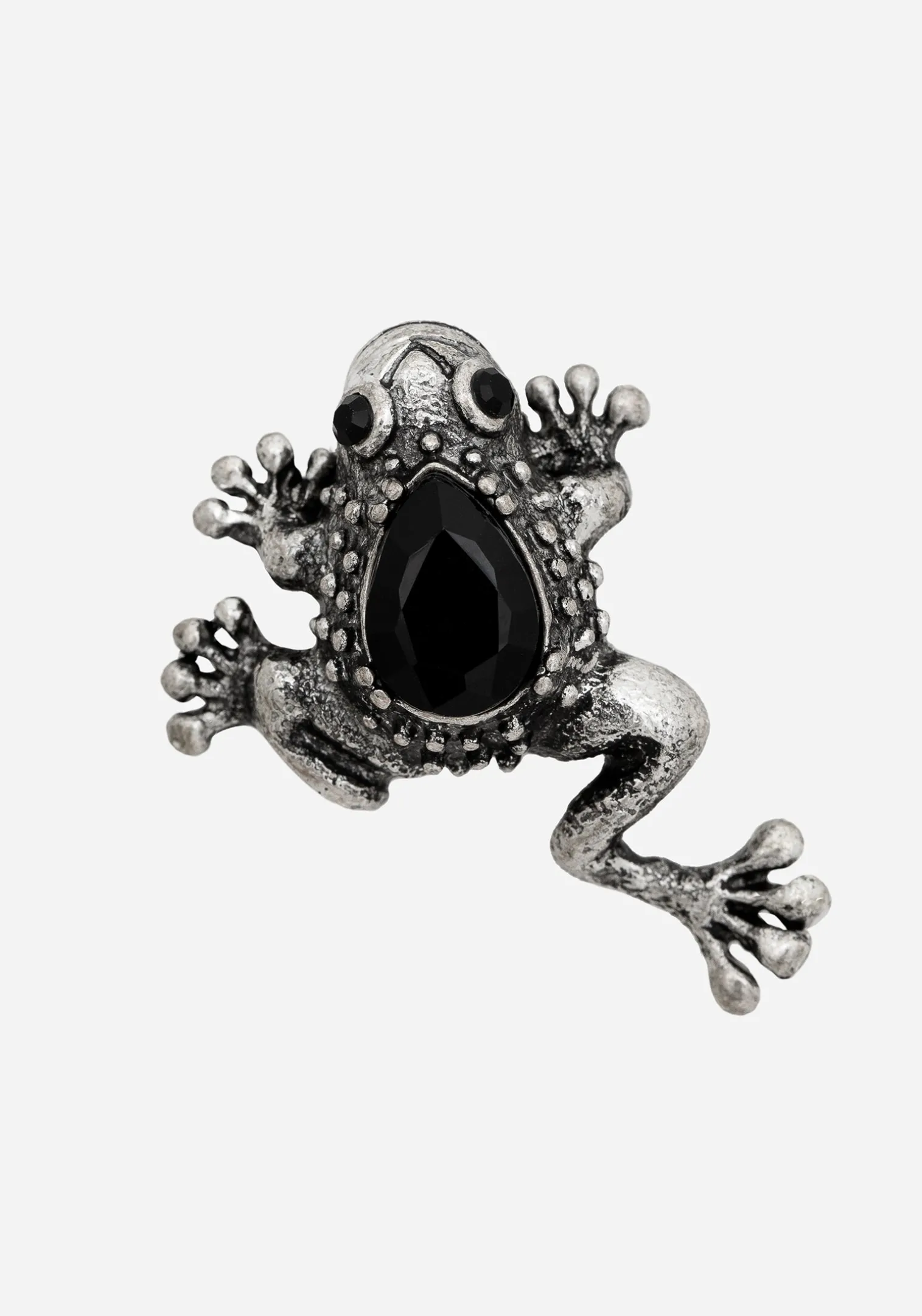 Bheki Frog Brooch Pin