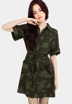 Callopistria Moth Print Mini Shirt Dress - Green