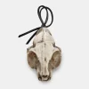 Cat Skull Offering
