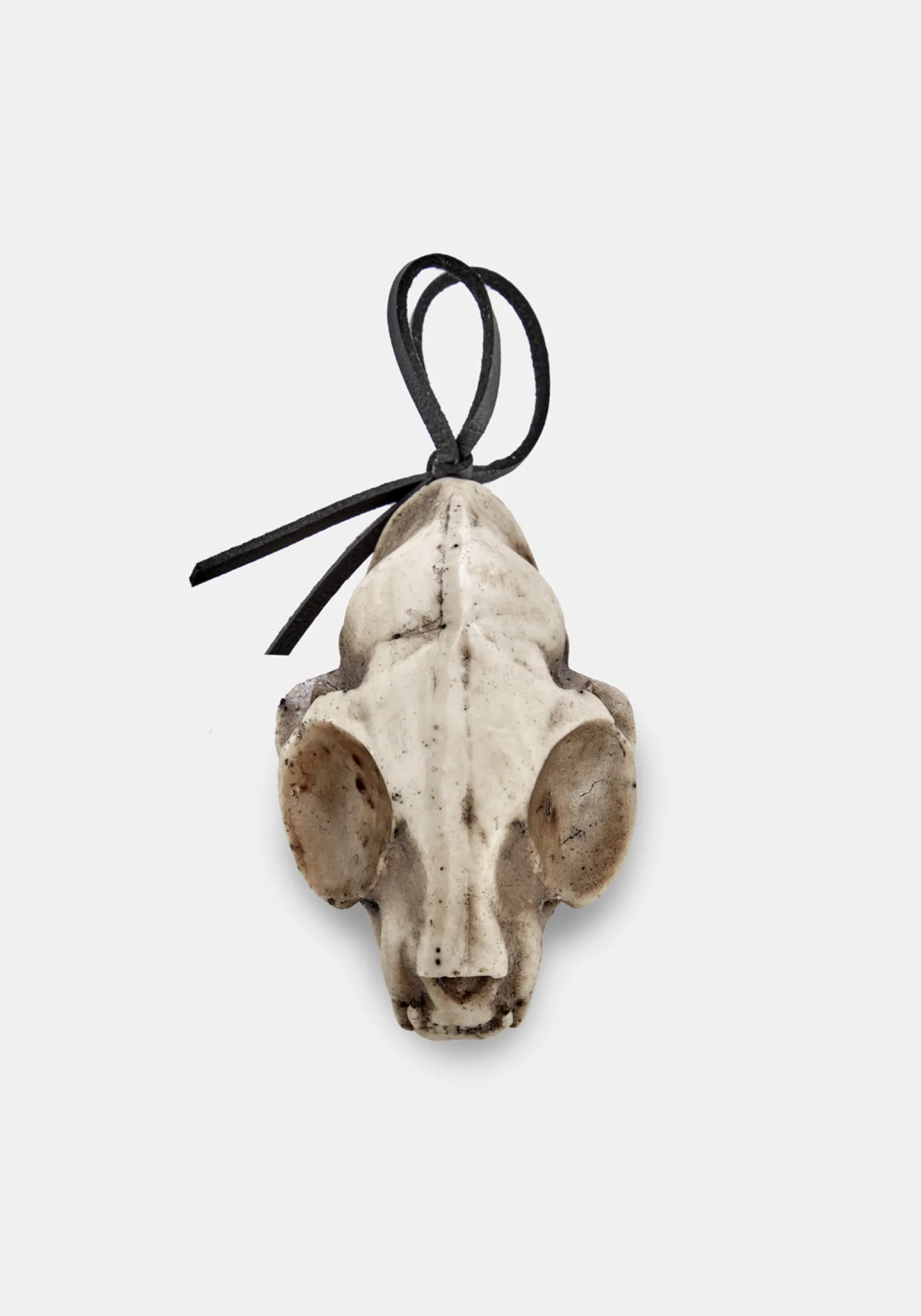 Cat Skull Offering