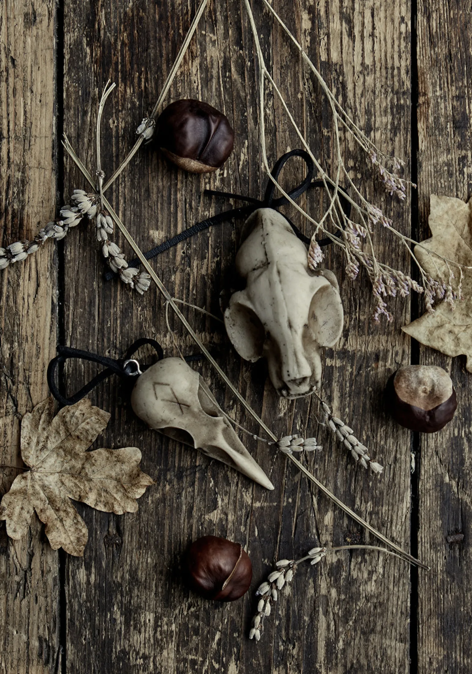 Cat Skull Offering