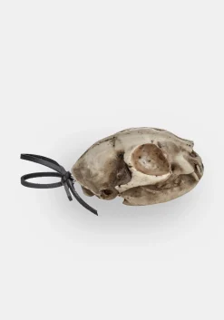 Cat Skull Offering