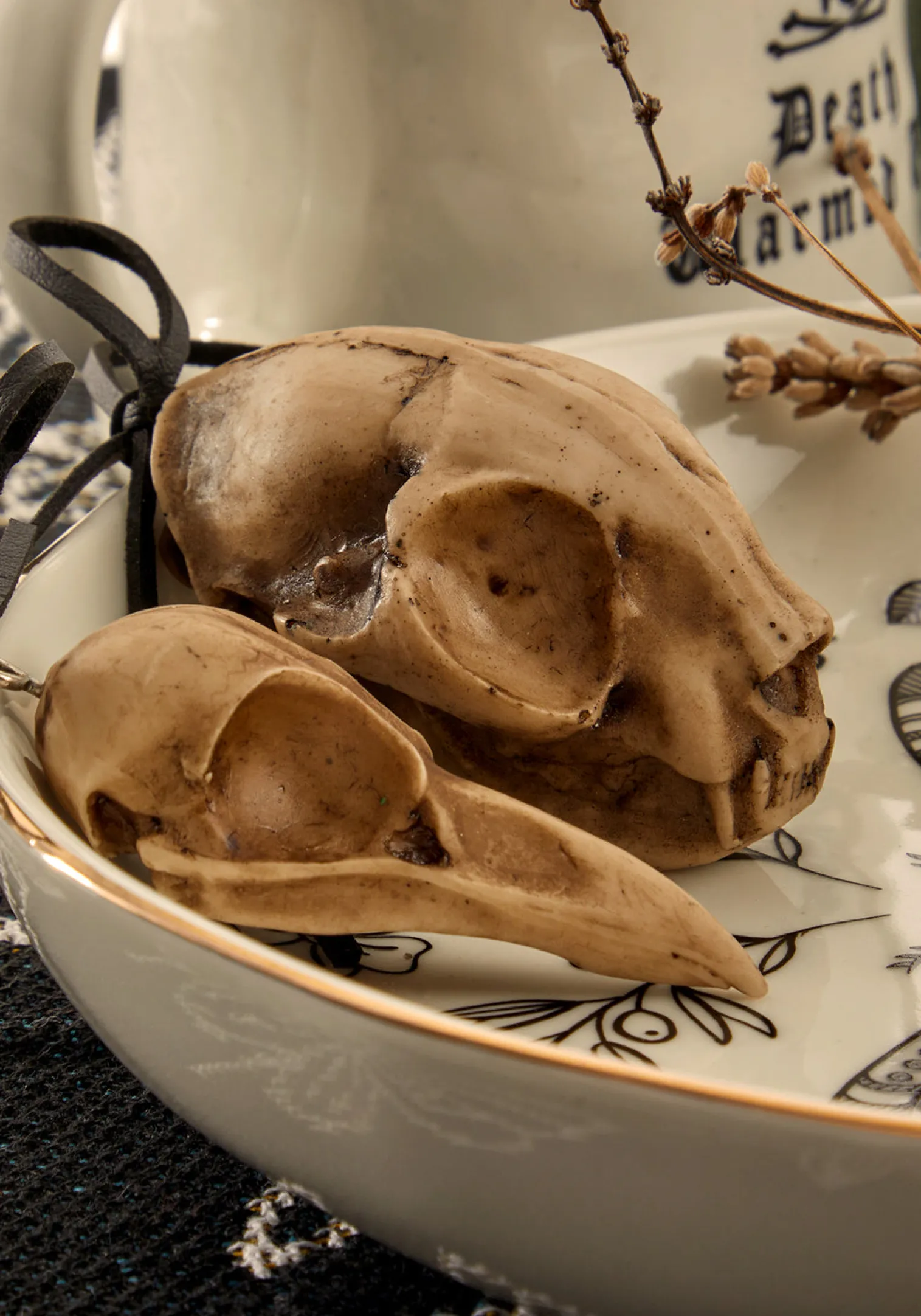 Cat Skull Offering