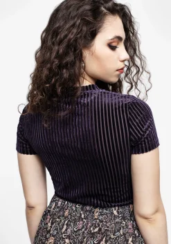 Dysnomia Ribbed Velvet Crop Top