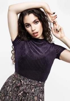 Dysnomia Ribbed Velvet Crop Top