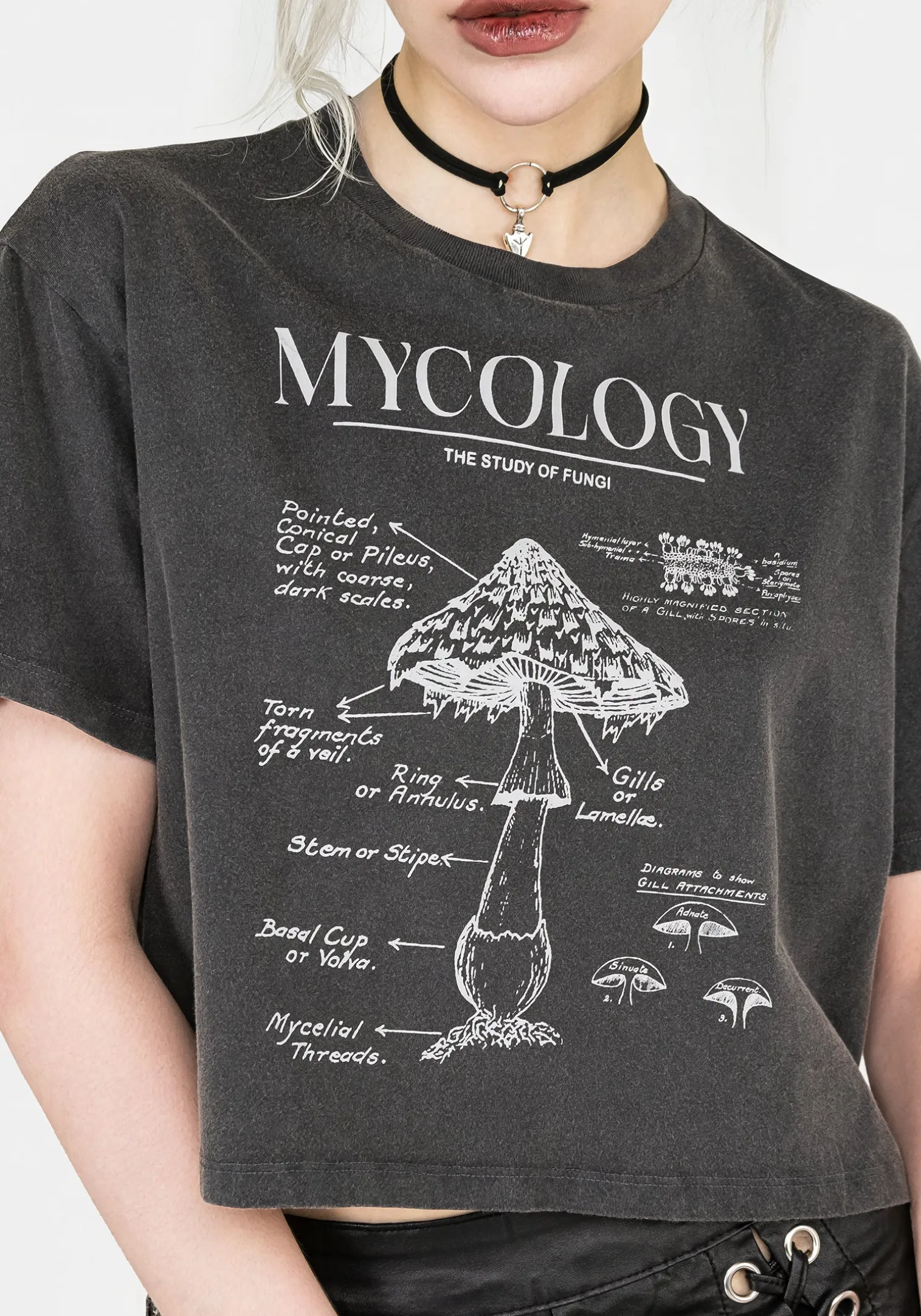 Mycology Boxy Crop T-shirt
