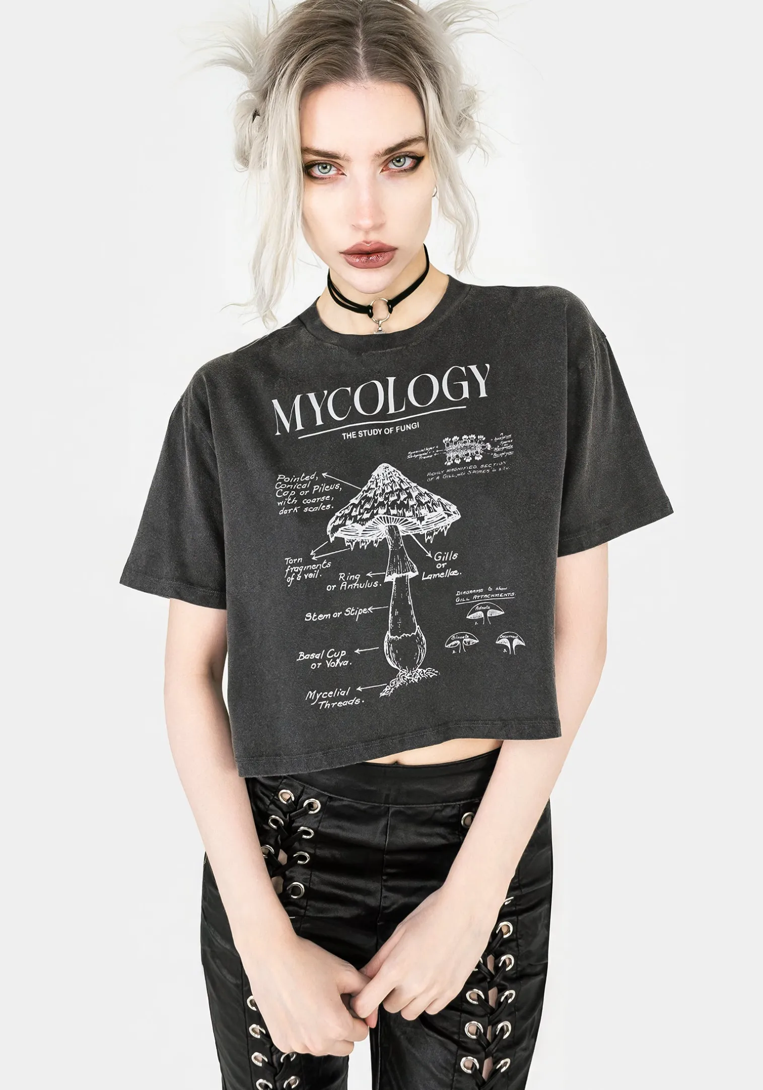 Mycology Boxy Crop T-shirt
