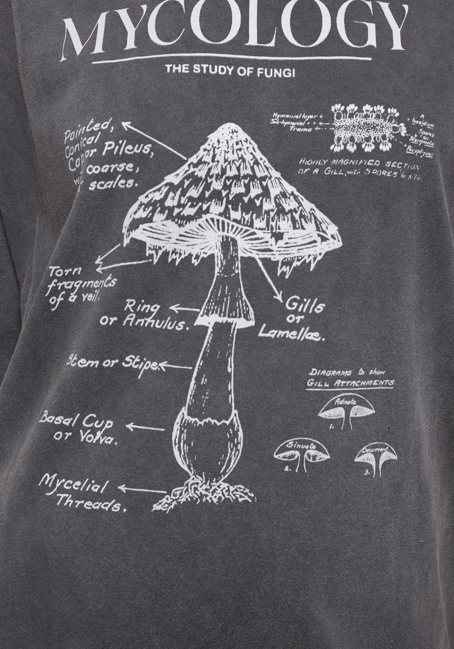Mycology Graphic Print Tee Dress