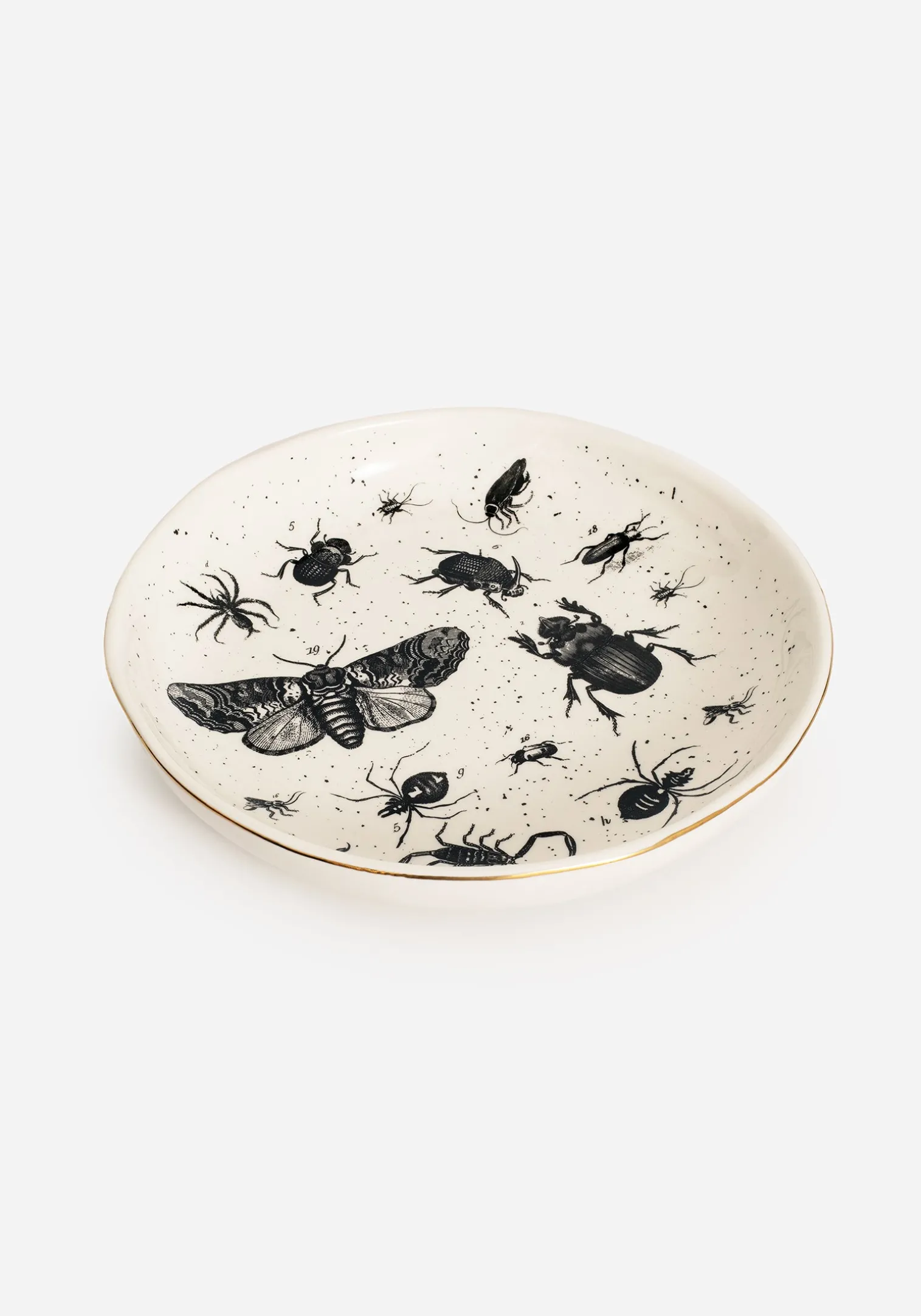 Parasite Bugs Print Plate