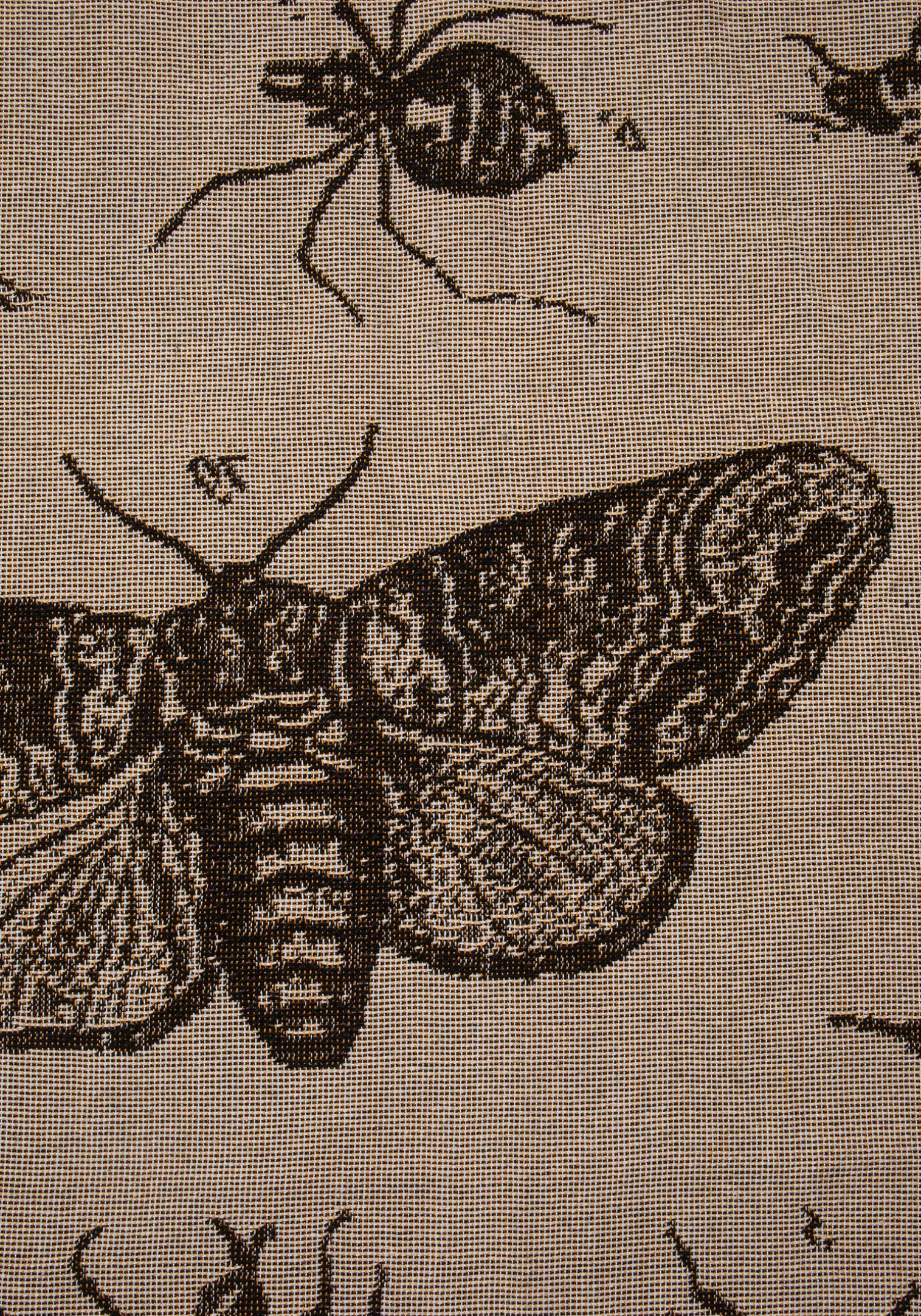 Parasite Woven Blanket