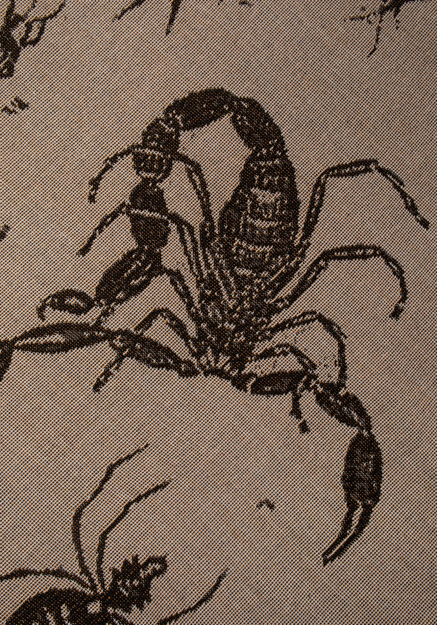 Parasite Woven Blanket
