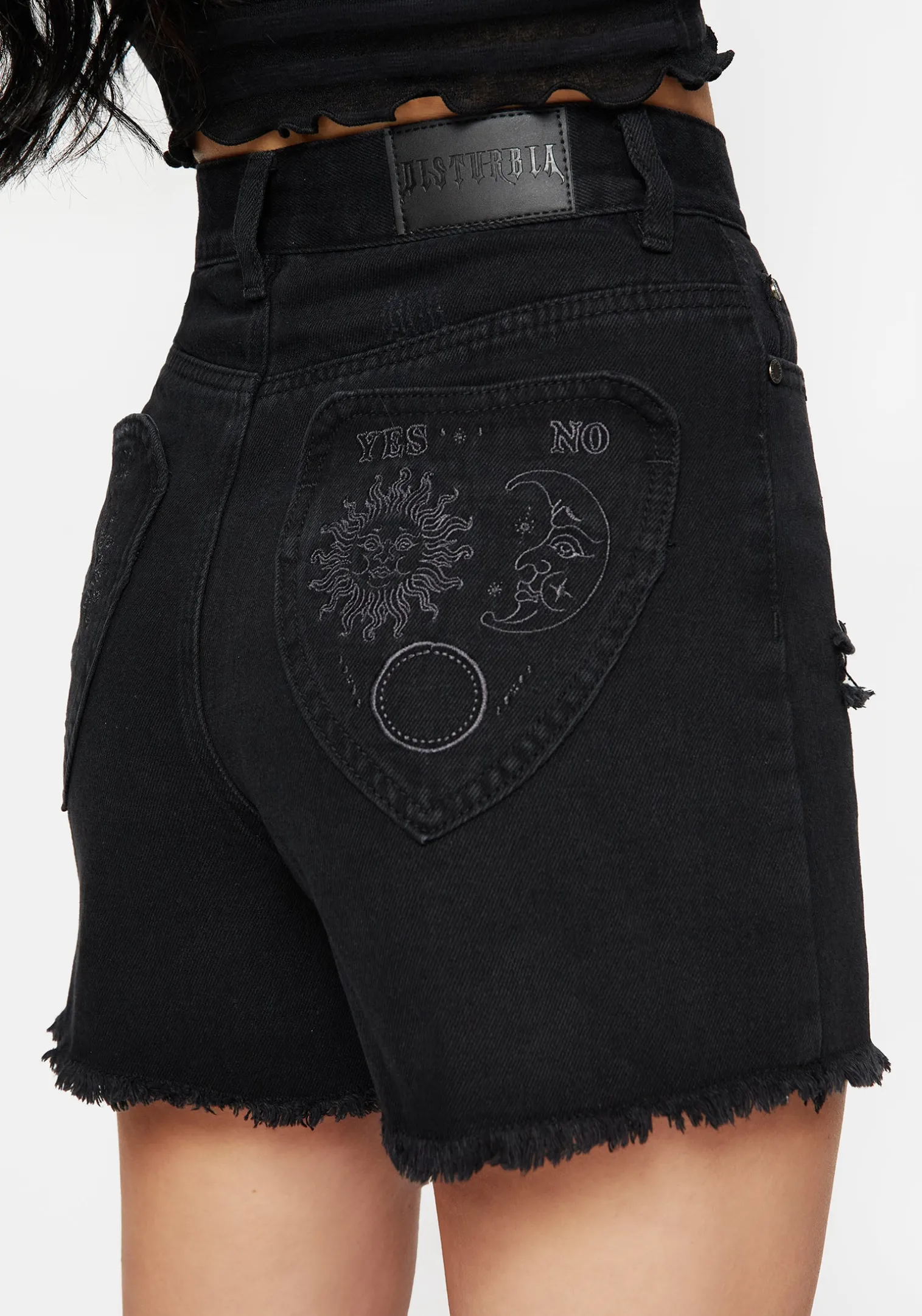 Planchette Embroidered Distressed Denim Shorts