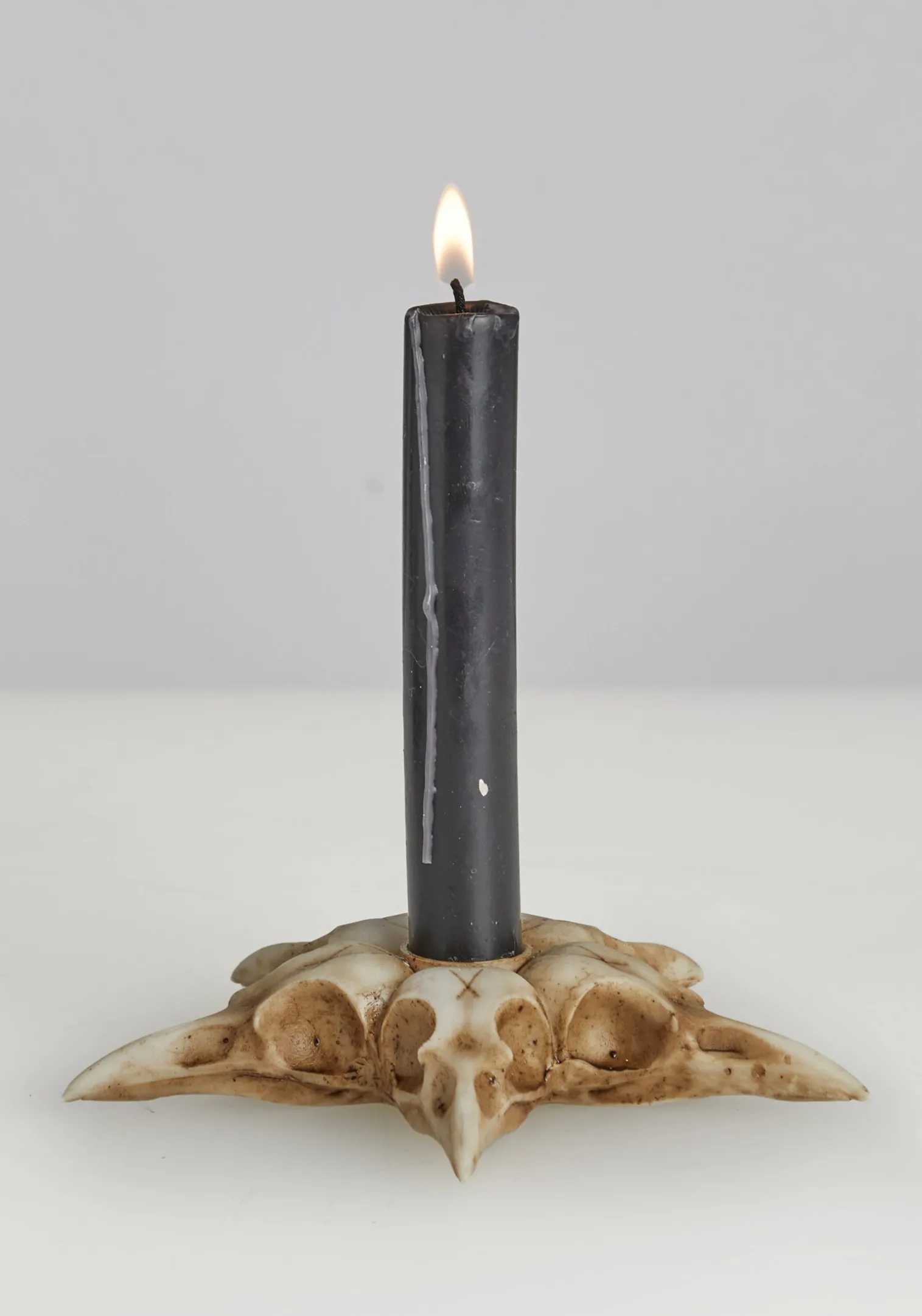 Raven Skull Candle Holder