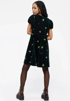 Swamplife Frog Embroidered Velour Button Up Mini Dress